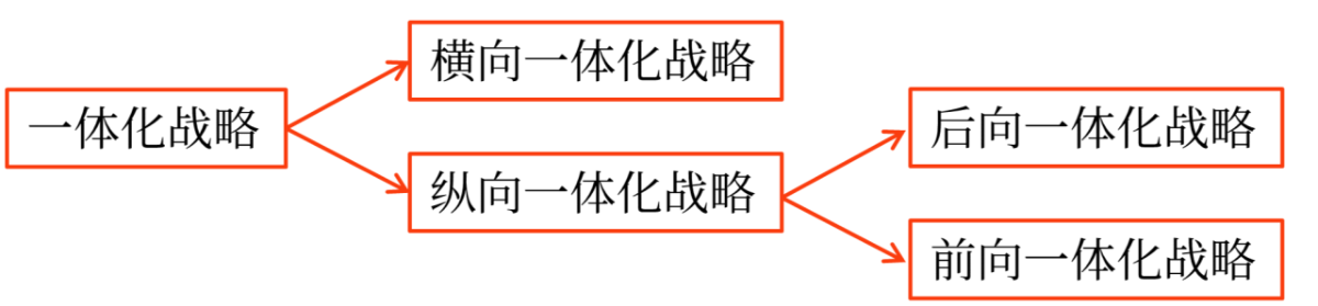 企業總體戰略的類型_2025年《高級會計實務》預習知識點