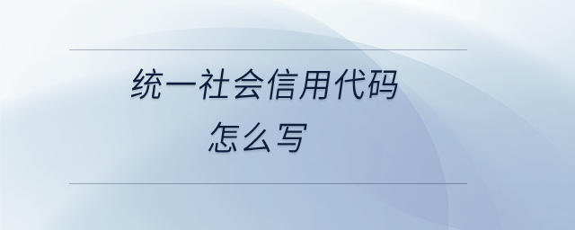 統一社會信用代碼怎么寫