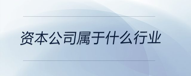 資本公司屬于什么行業