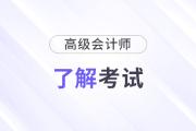 新手必看！關(guān)于2025年高級會計職稱考試&評審