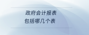 政府會計報表包括哪幾個表