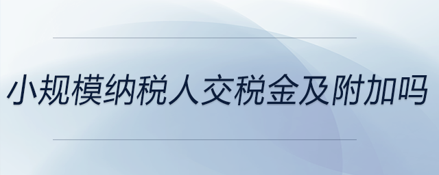 小規模納稅人交稅金及附加嗎