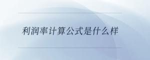 利潤率計算公式是什么樣