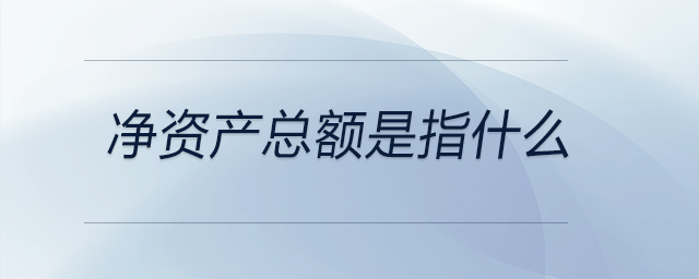 凈資產總額是指什么
