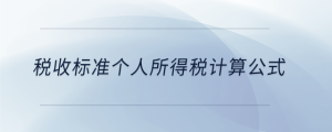 稅收標(biāo)準(zhǔn)個人所得稅計算公式
