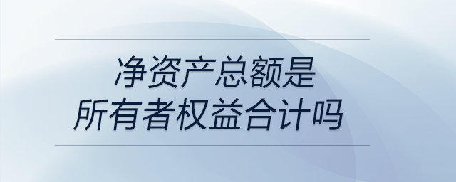 凈資產(chǎn)總額是所有者權(quán)益合計嗎
