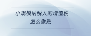 小規模納稅人的增值稅怎么做賬