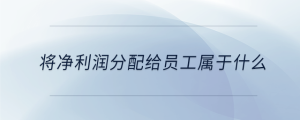 將凈利潤分配給員工屬于什么