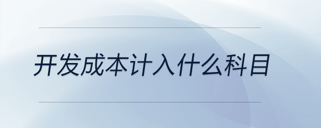 開發成本計入什么科目