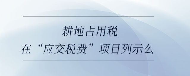 耕地占用稅在“應交稅費”項目列示么