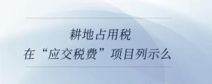 耕地占用稅在“應(yīng)交稅費(fèi)”項(xiàng)目列示么