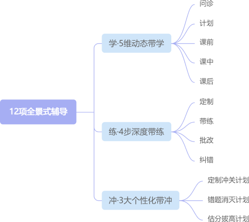 12項全景式輔導