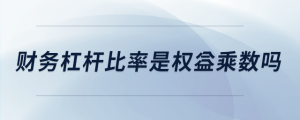 財務杠桿比率是權益乘數嗎