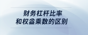 財務杠桿比率和權益乘數的區別