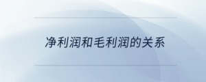 凈利潤和毛利潤的關系