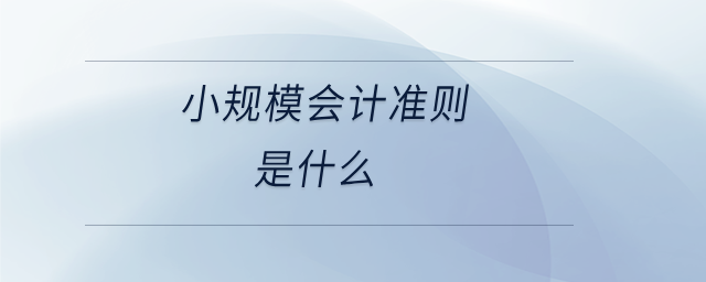 小規模會計準則是什么