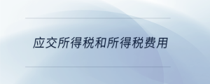 應交所得稅和所得稅費用