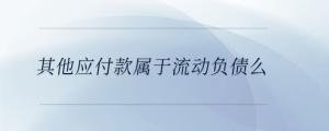 其他應付款屬于流動負債么
