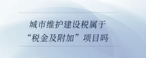 城市維護建設稅屬于“稅金及附加”項目嗎