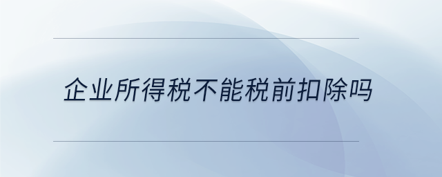 企業所得稅不能稅前扣除嗎