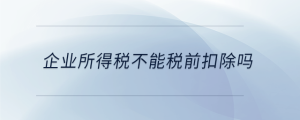 企業所得稅不能稅前扣除嗎