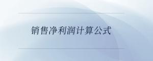 銷售凈利潤計算公式