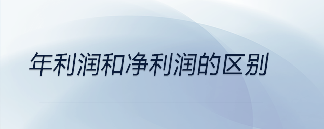 年利潤和凈利潤的區別