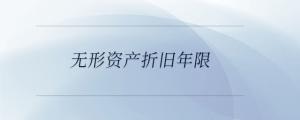無形資產折舊年限