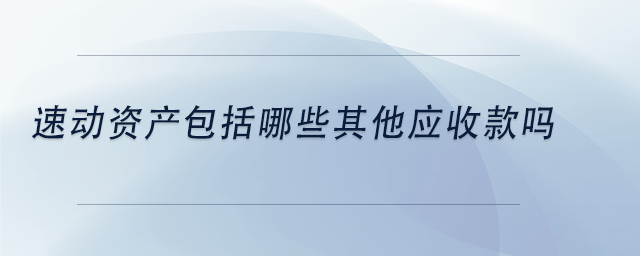 中級會計速動資產包括哪些其他應收款嗎