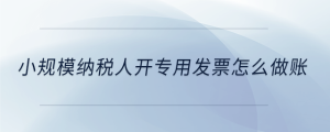 小規模納稅人開專用發票怎么做賬