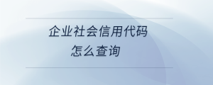企業(yè)社會(huì)信用代碼怎么查詢