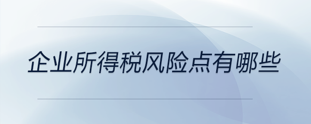 企業所得稅風險點有哪些