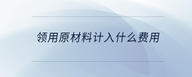 領用原材料計入什么費用