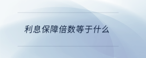 利息保障倍數等于什么