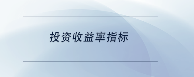 中級會計投資收益率指標