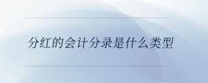 分紅的會計分錄是什么類型