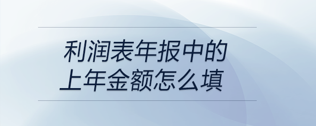 利潤表年報中的上年金額怎么填