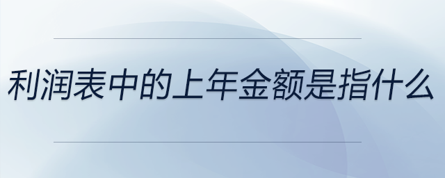 利潤表中的上年金額是指什么