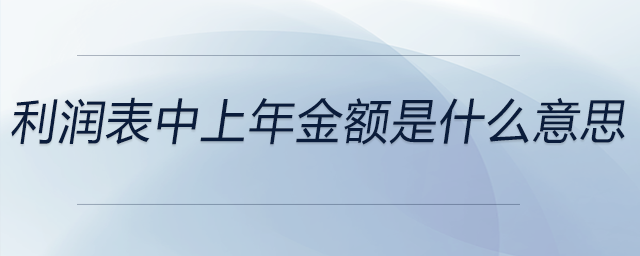 利潤(rùn)表中上年金額是什么意思