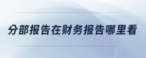 分部報(bào)告在財(cái)務(wù)報(bào)告哪里看