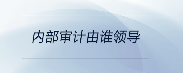 內部審計由誰領導
