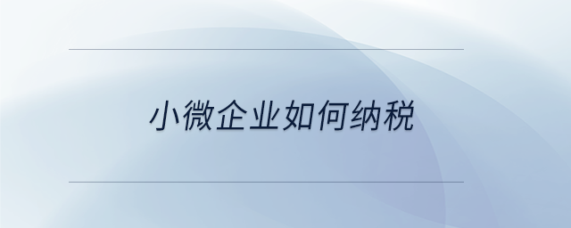 小微企業(yè)如何納稅