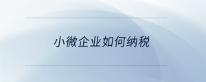 小微企業如何納稅