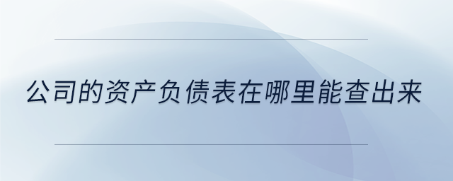 公司的資產負債表在哪里能查出來