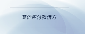其他應付款借方