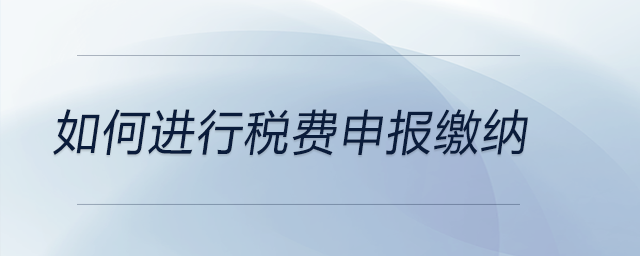 如何進行稅費申報繳納