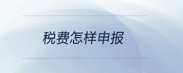 稅費怎樣申報