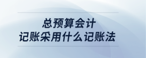總預(yù)算會(huì)計(jì)記賬采用什么記賬法
