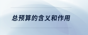 總預算的含義和作用
