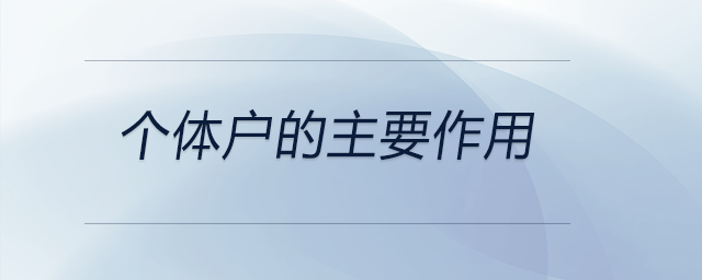個體戶的主要作用